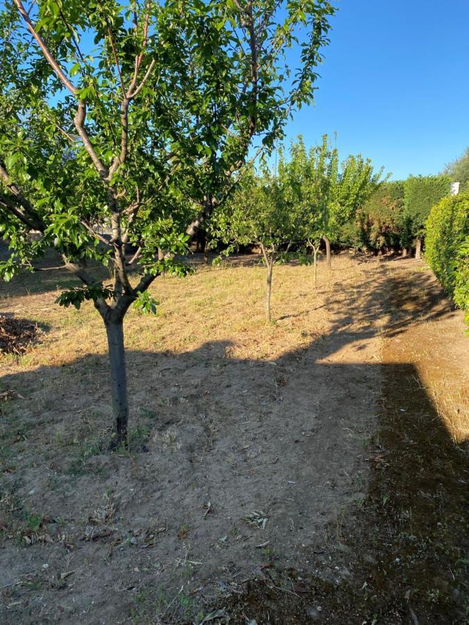 Villa Vita Oria  Esterno foto